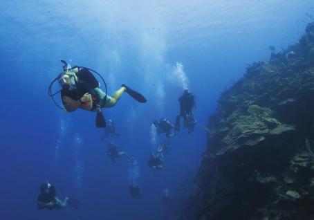 You re getting close! Now it s time to start your PADI Instructor Development Course (IDC).