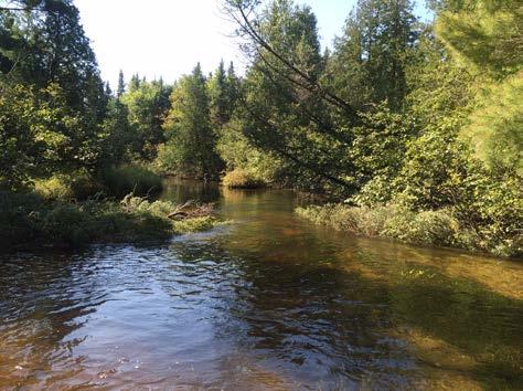 The final structure was installed in late June and the installation of 300 whole trees into the West Branch of Big Creek was final.