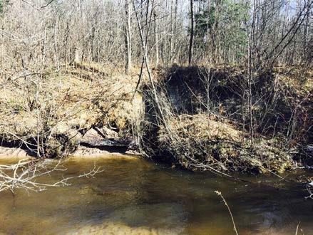 Hull Island: Oscoda, Michigan Erosion Control and Monitoring Huron Pines will once again be addressing excessive erosion on the South Branch of the Pine River in 2015.