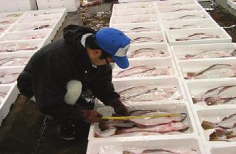 Fisheries Research Agency of Japan) However, still many challenges confront the stock assessment activities in Japan.