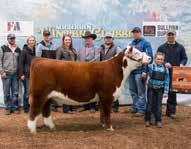 breeding program forward. Breed and Use with Confidence! Owned by ShowTime Cattle Co.