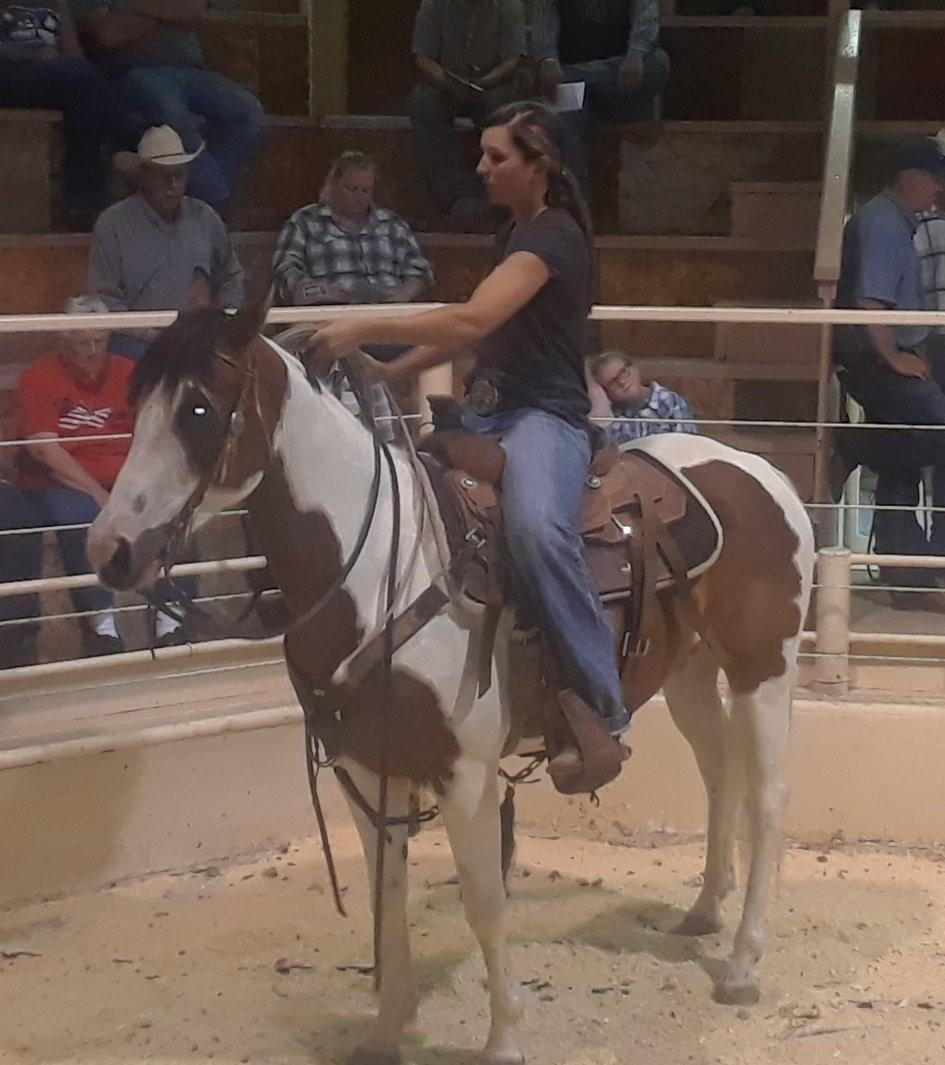 Hip Tag 5, a 13-year old Grade gelding consigned by S Cunningham, NE sold for $1550 to D.