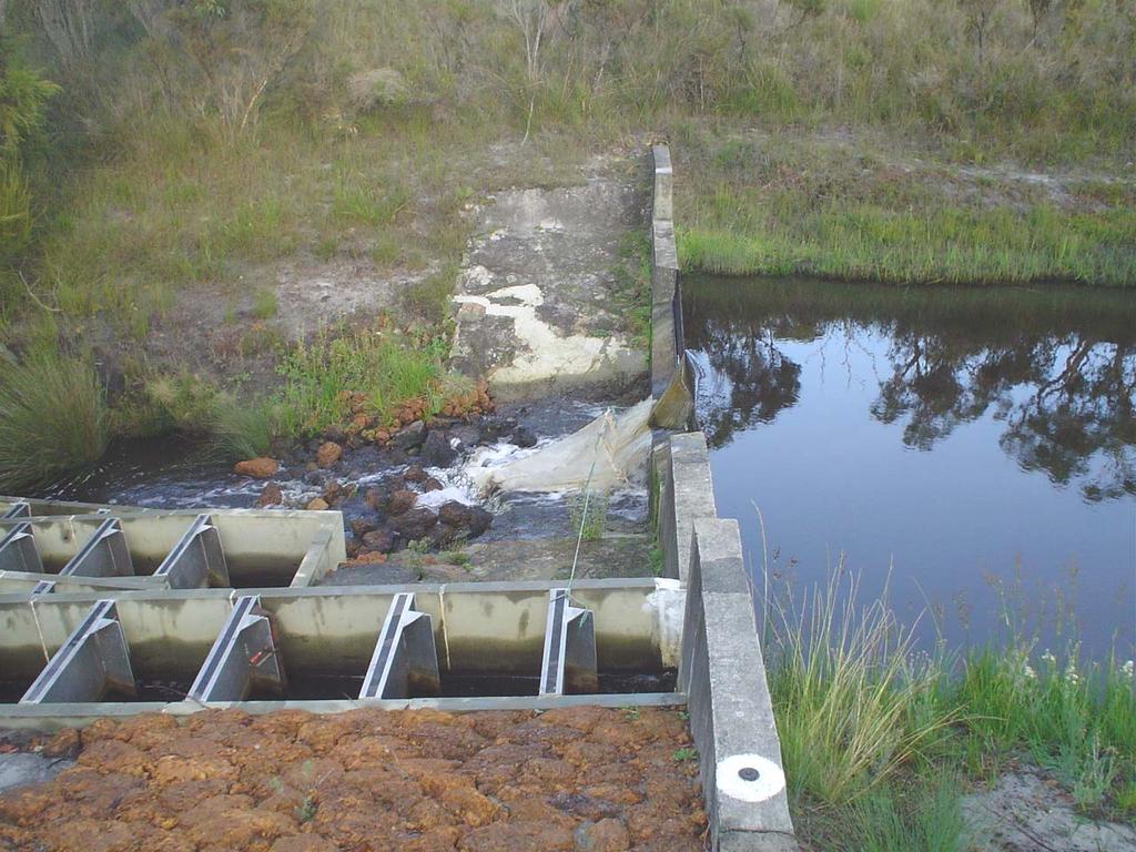 Fish species captured moving downstream over the gauging station During May, August and November 24 a trap was set to determine the abundance and size distribution of fish that