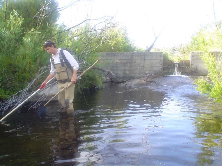 Barriers to fish migration in the Angove River During February, May, August and November 24 the fish species in the section of the Angove River, below the Angove River Gauging Station were monitored