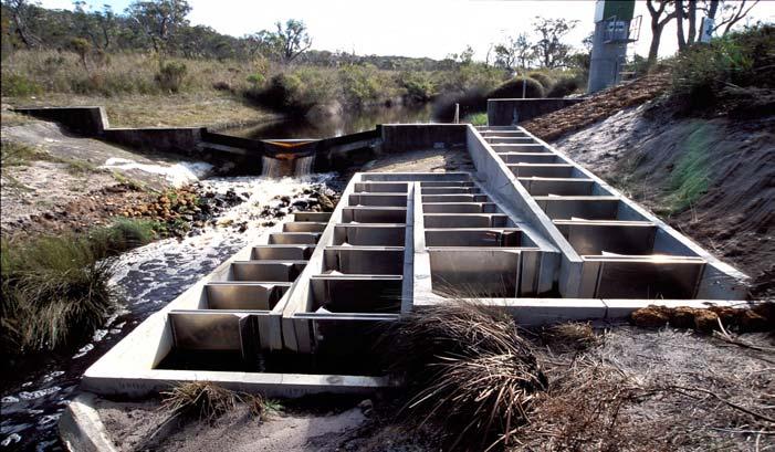 Water velocity was measured on the fishway using a Current Meter Counter (model C.M.C. 2). The measurements were taken in front of the slots between each of the cell entrances.