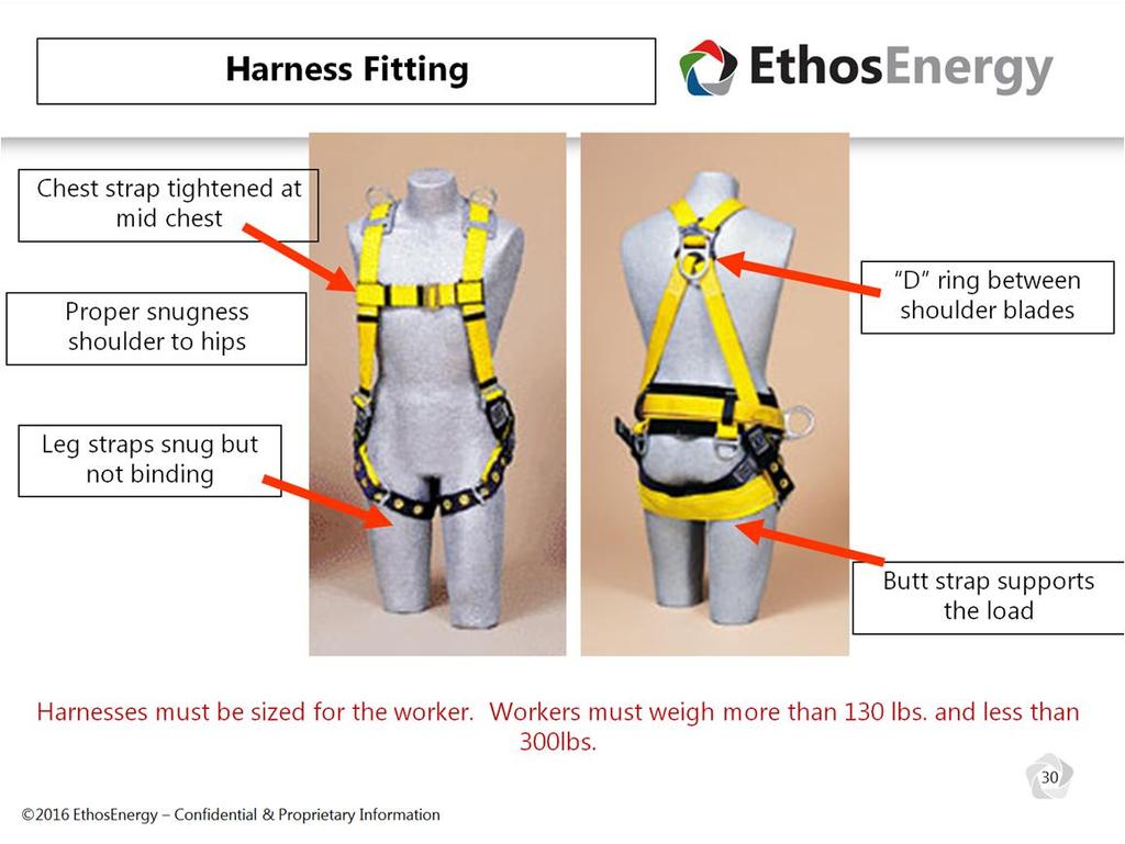 A properly fitted harness is essential to minimize the shock to the body if you were exposed to a fall arrest.