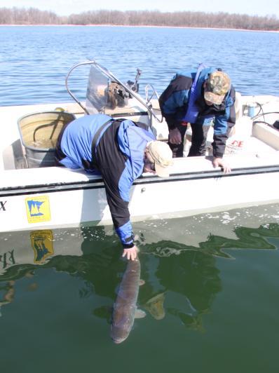 The goal of these messages is to keep you up to date with our findings and current activities on the lake. Earlier updates are available by visiting http://www.dnr.state.mn.