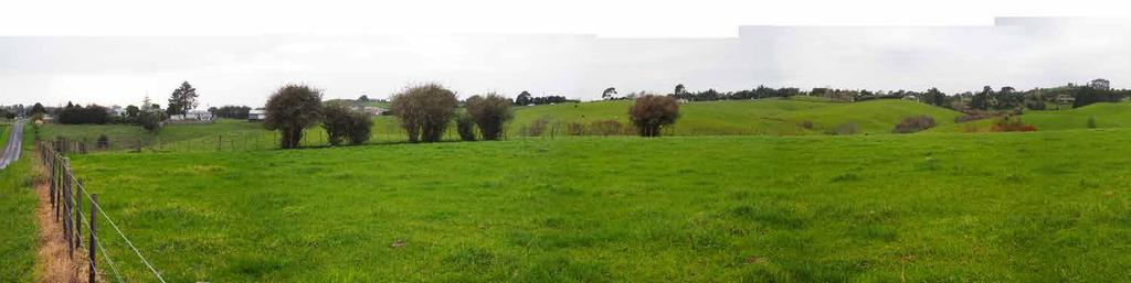 STEEPLY UNDULATING PASTURAL Viewpoint 25 - Looking east from Ngahere Road to the