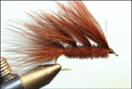Add a bead or a cone. 1. Wrap lead beginning at hook point to 2 eye lengths behind hook eye. 2. Lay a base of thread covering the hook shank and the lead wraps. 3. Tie in marabou above the hook barb.