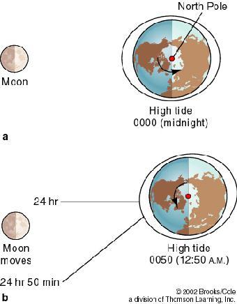 The Lunar - Tidal Day Solar Earth Day - Earth completes one rotation relative to the sun in 24 hours