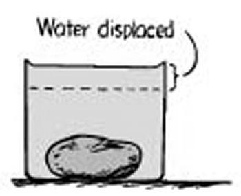 an upward buoyant force Water Displacement
