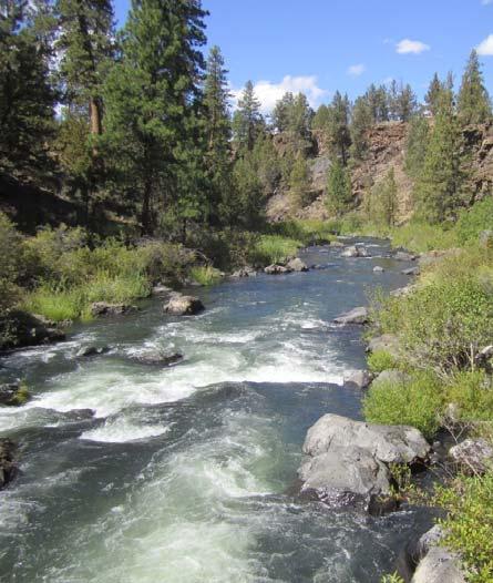 Quantifying Performance of Stream Simulation Culverts in the Chehalis Basin, WA AUTHORS: