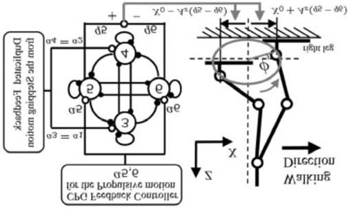 218 THE INTERNATIONAL JOURNAL OF ROBOTICS RESEARCH / February 2008 Fig. 6. A quad-element neural oscillator for propulsive motion in the sagittal plane.