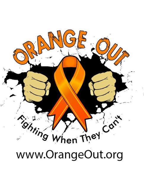 ORANGEOUT.ORG BENEFIT SHOOT Date: June 23 rd, 2013 Registration: Opens by 8:00 am. The Practice Range will also be open by 8:00 am. Format: 30 3-D Animals Shoot Times: California Start 9:00 am.