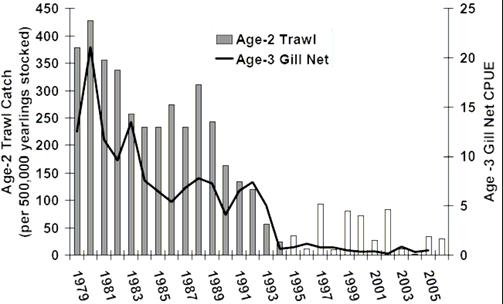 The adjusted catch of age-2 lake trout with bottom trawls during the juvenile lake trout survey remained low and was 88% below the mean for the 1983-1989 year classes.
