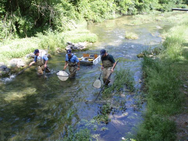 Fishery Management Strategy for Big Spring Creek Recommend regulation change for Sections 01 and 02 beginning in 2014: Fly-fishing tackle only Catch-and-release of brook trout Harvest of a total of