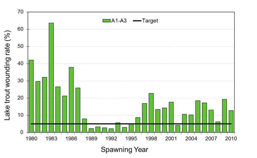 Fig. 37. Number of Type A, Stages I-III marks per 100 lake trout of total length 533 mm or larger caught during standardized assessments conducted on Lake Erie in August 1979-2009.