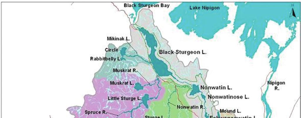 Fig. 10. The Black Sturgeon River watershed. Locations of the current sea lamprey barrier at Camp 43 (square) and the former Camp 1 barrier (circle) are shown.