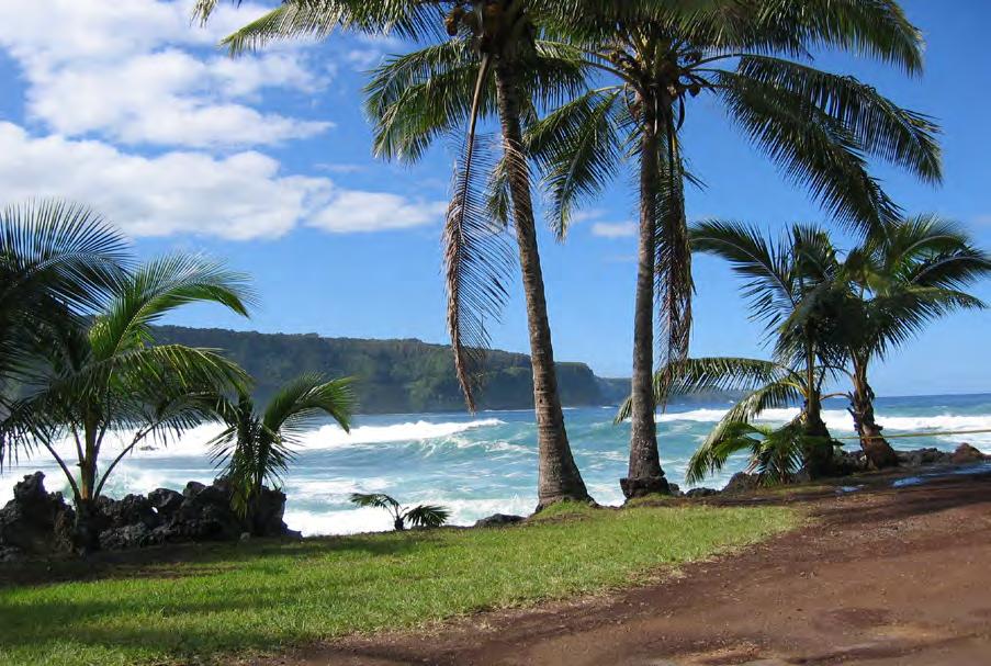gorgeous green rainforest, or a moonlight walk on a tropical beach. Now return to your home base, located in a lush garden setting on the west side of Maui.