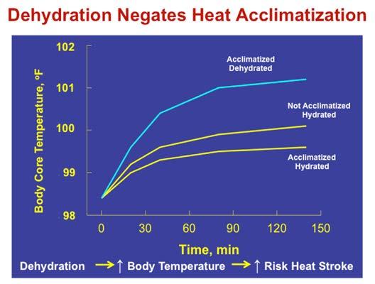 increases the risk of heat stroke. So how much do you have to drink to stay hydrated? The simple answer is that you have to drink enough to match the amount of sweat you lose.