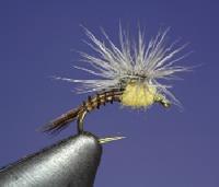 SEIFF Club Chronicle April 2016 Page 3 Fly of the Month Slumpbuster (Olive) John Barr, Contributor Submitted by Roger Thompson Hook: Dai Riki 710 sizes 4-12 Thread: Olive 70-Denier (this can be