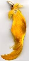RING NECK PHEASANT Product Sheet Skin Male Nat Skin Female Nat Pheasant Tails