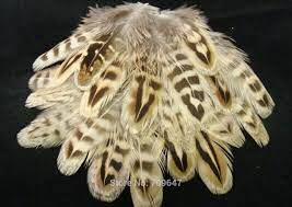 RING NECK PHEASANT FEATHERS Colors Available: Yellow, Orange, Chocolate, Wine/Claret,