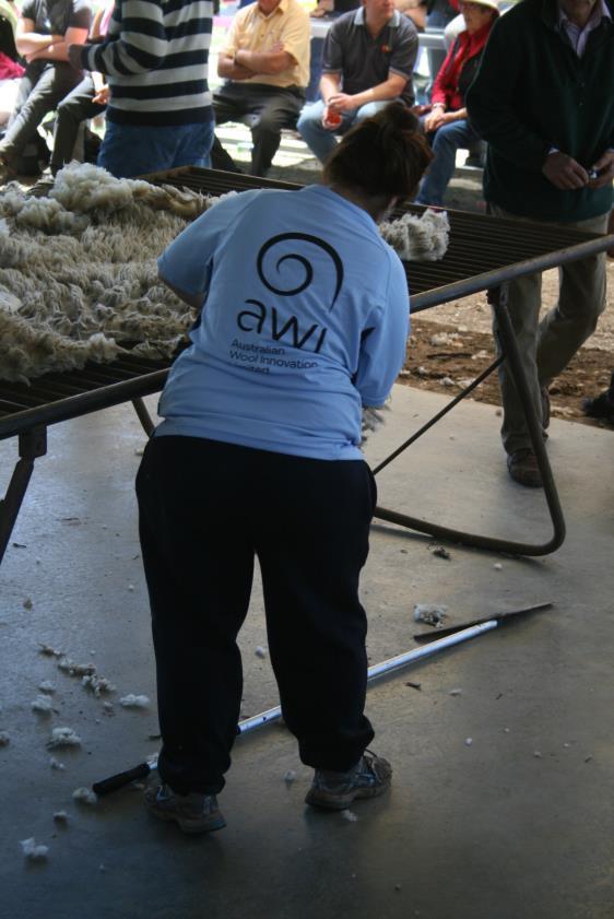 Wool Handling action
