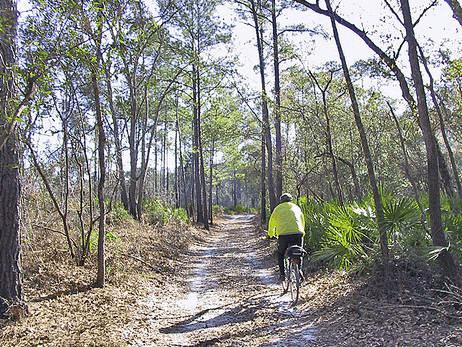 The United Church of Gainesville (UCG), a member of the network, is spearheading an effort to increase cycling safety in Gainesville.