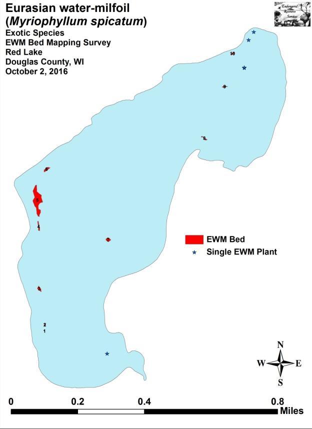 Figure 4: 2016 Fall EWM Bed Map EWM Plant from Bed 5 Descriptions of EWM Beds: Beds 1, 2 and 3 Although the shoreline and associated shallow sand flats along the western shoreline meander back and