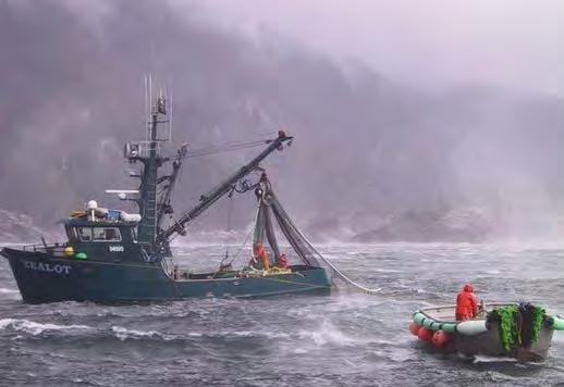 Southeast AK: Pink salmon purse seine fishery Variable
