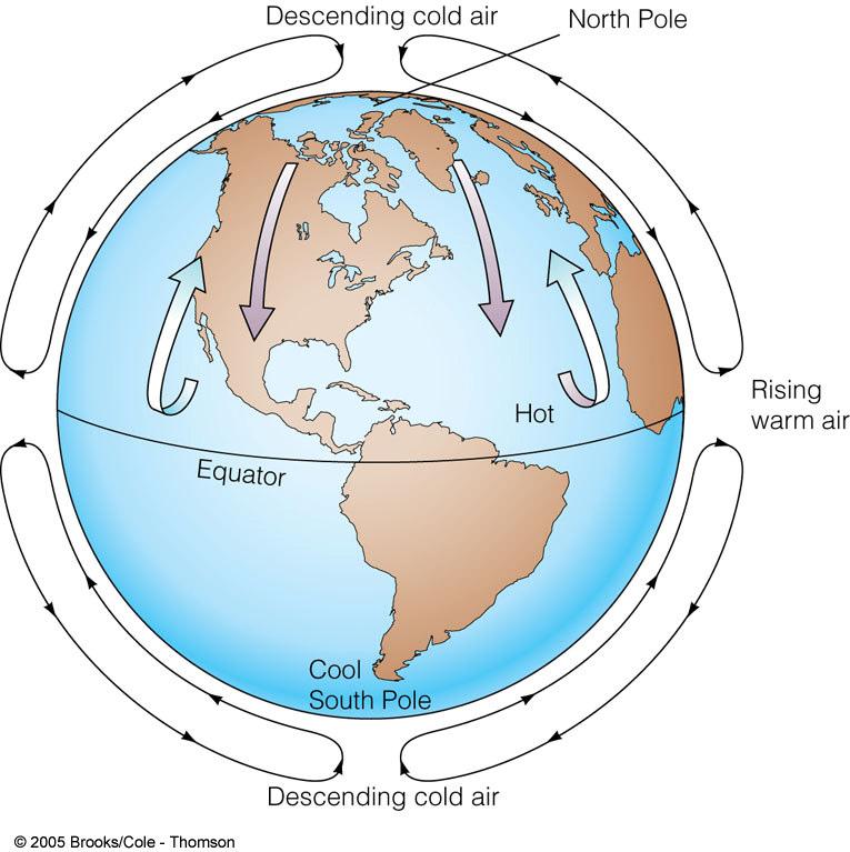 Winds on a Non-rotating Earth Would Be Simple: Warm air rises at equator Cools as it rises & water