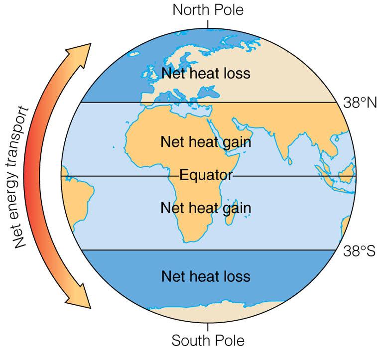 Wind & Ocean Currents distribute heat Poles: Lose more