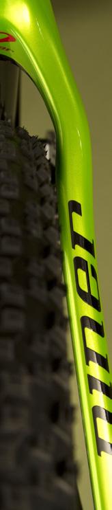 TAPERED, LICORICE BLACK OR NINER GREEN SCHWALBE RACING RALPH 2.