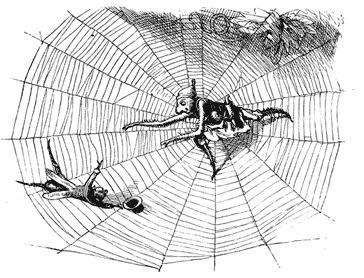 The Spider and the Fly by Mary Howitt Will you walk into my parlour?