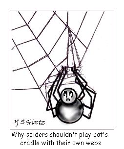 Tell About Spiders Answer Sheet 1. Where are the poison glands located on the spider s body? a. cephalothorax b. eyes c. jaws 2. Spiders prefer to live in. a. hot temperatures b. dry places c.