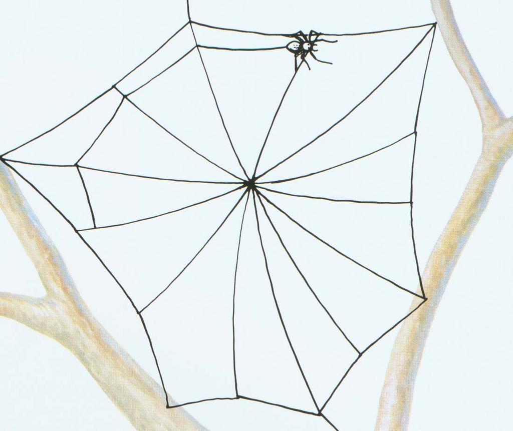 Can you see how it has spokes coming from the center, kind of like a bicycle wheel? Once the frame is finished, the spider weaves its round web onto the frame.
