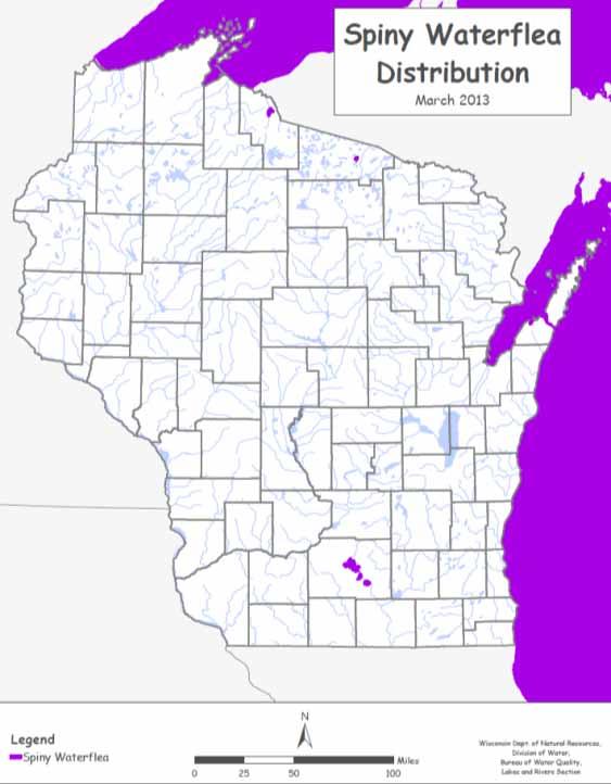 Spiny Waterflea Distribution Lake Superior & Lake Michigan Iron County Gile Flowage