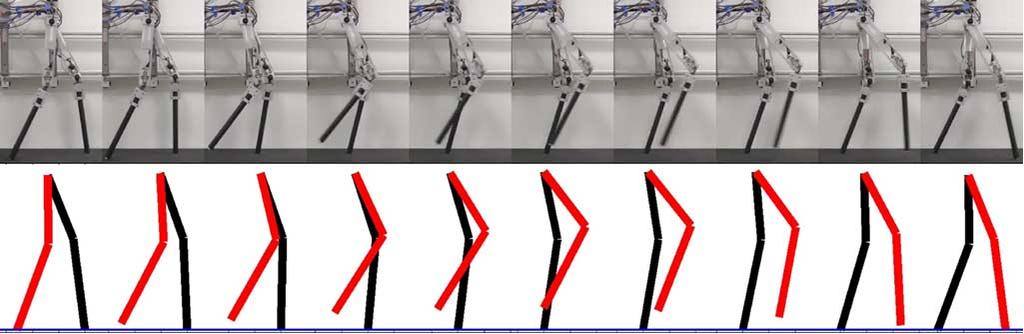 AMES: HUMAN-INSPIRED CONTROL OF BIPEDAL WALKING ROBOTS 1129 Fig. 10. Simulated (desired) and experimental joint trajectories for AMBER. (a) Stance Knee. (b) Stance Hip. (c) Non-stance Hip.