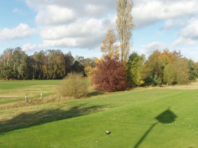 Proposed position for additional trees Additional bunkering to the 18 th has reduced the risk of