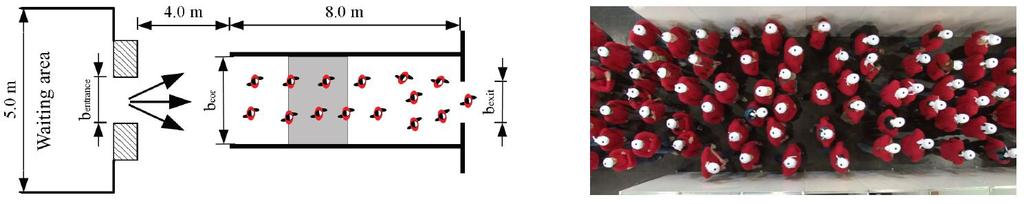 Figure 3: Setup and snapshot of unidirectional flow experiment. The gray area in the sketch shows the location of measurement area (Ref. Zhang and Seyfried, 2012).