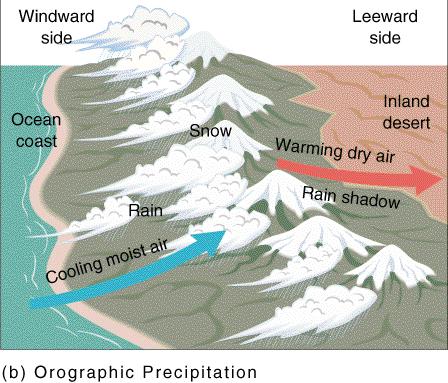 5. Elevation: Orographic Precip Windward - side of a mountain from which the wind is blowing.