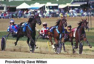 Standardbred Fastest harness horse in the world