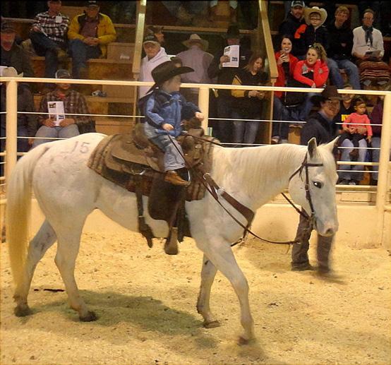 Congratulations Shawn Coleman, Woonsocket, SD Sells Top April 21 Sale Horse for $5,600!