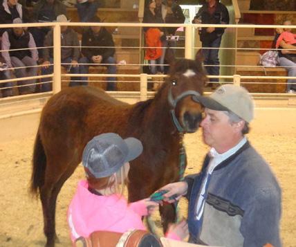 The storm kept a number of folks in the cattle & calving business home but those that made it to the sale sure were in the mood for buying the horses.