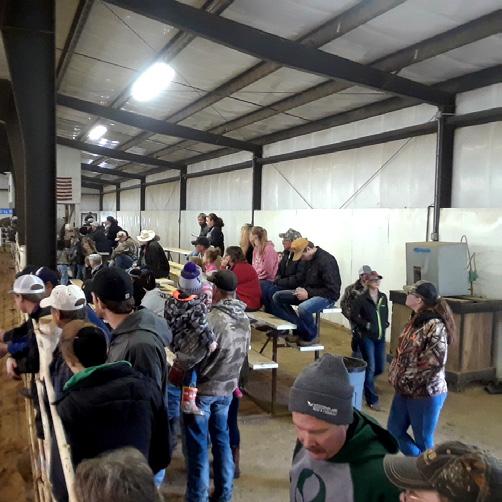Our volume sale brings in all the Buyers in the country to pay top prices!! Loose horses are sold in the order delivered to the yards(west end). No pre-consigning for loose horses or advertisement.