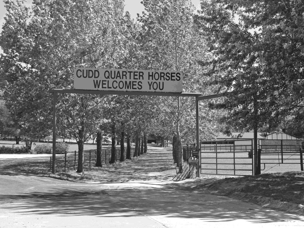 CUDD QUARTER HORSES, LLC.