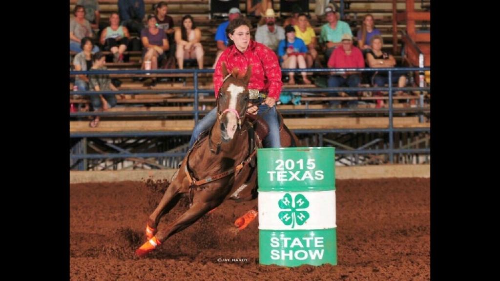 CUDD QUARTER HORSE SALE PROVEN PERFORMERS MISS CALICO DOLL This is a picture of my daughter s horse that came from your ranch. The best horse we ever had.