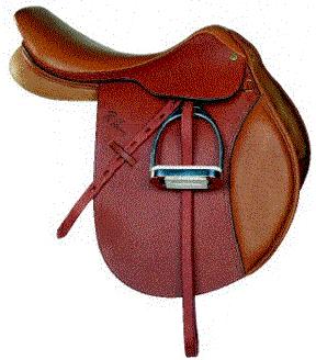 Western Saddle, write the correct name on the lines provided: Fender *Horn *Stirrup *Seat *Cantle *Skirt
