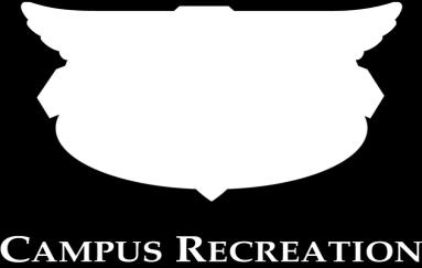 Acceptable combinations of males and females for co-rec included: 4M & 4F; 3M & 5F 5M & 3F; 4M & 4F, 4M & 3F; 3M & 4F. B. Game balls are provided by Intramural Sports. C.